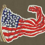 use flag Sw